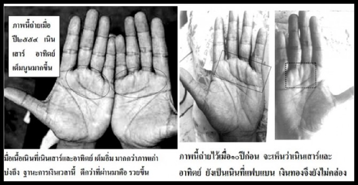 'สรพงศ์ ชาตรี'เนื้อเนินที่เปลี่ยนไป
'สรพงศ์ ชาตรี'เนื้อเนินที่เปลี่ยนไป