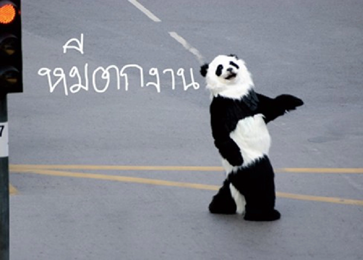 'เปิ้ล'เปิดใจช็อกถูกปลดจนร้องไห้ 'เปิ้ล'เปิดใจช็อกถูกปลดจนร้องไห้