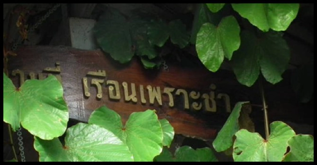 ศิลป์แห่งแผ่นดิน:เรือนเพราะชำ ศิลป์แห่งแผ่นดิน:เรือนเพราะชำ