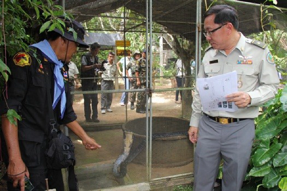กรมอุทยานฯบุกตรวจ'ฟาร์มงู'3แห่ง กรมอุทยานฯบุกตรวจ'ฟาร์มงู'3แห่ง