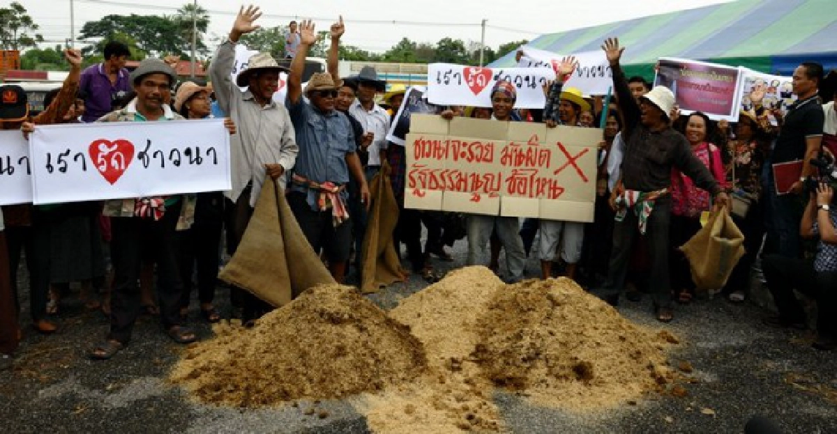 'นิด้า'ยันยื่นระงับจำนำข้าวช่วยชาวนา 'นิด้า'ยันยื่นระงับจำนำข้าวช่วยชาวนา
