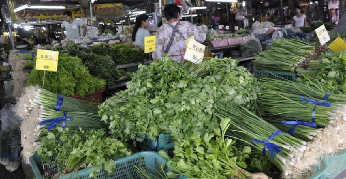 ระวังหนี้ครัวเรือนลามถึงศก.