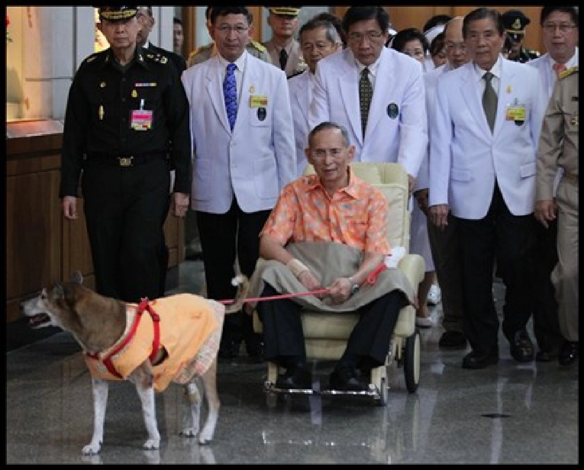ในหลวงทอดพระเนตรทัศนียภาพศิริราช ในหลวงทอดพระเนตรทัศนียภาพศิริราช