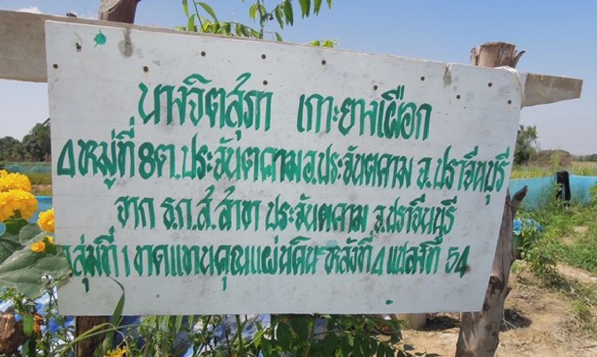 แก้จน!'นา1ไร่ได้เงิน1แสน'