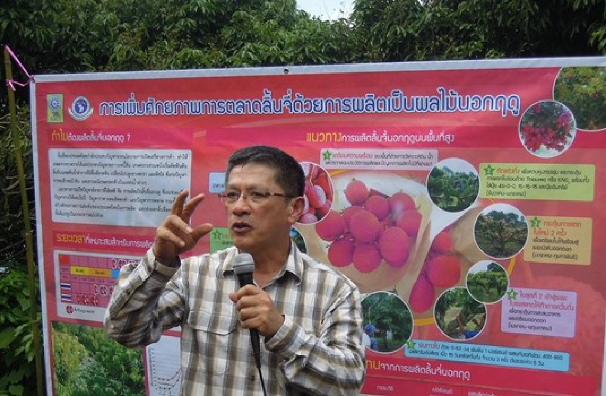 'ลิ้นจี่นอกฤดู'เพิ่มรายได้คนพื้นที่สูง 'ลิ้นจี่นอกฤดู'เพิ่มรายได้คนพื้นที่สูง