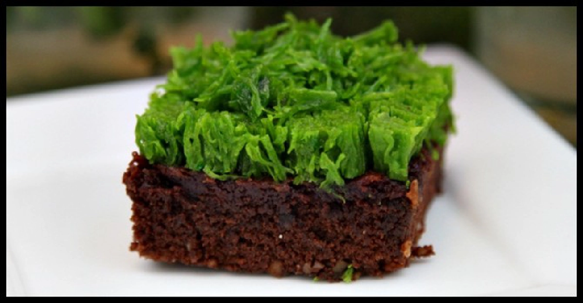 อร่อยลิ้นกลางสวนดอกไม้@ม็อคคาร่า