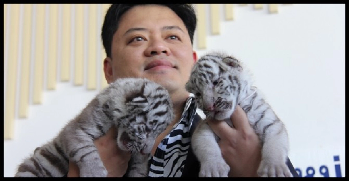 'ไนท์ซาฟารี'เปิดตัวสองลูกเสือขาว