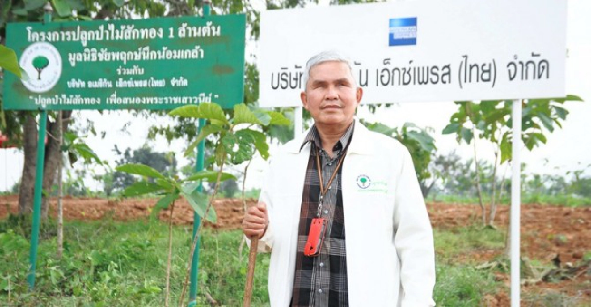 ปลูกต้นสักสร้างโลกสวย ปลูกต้นสักสร้างโลกสวย