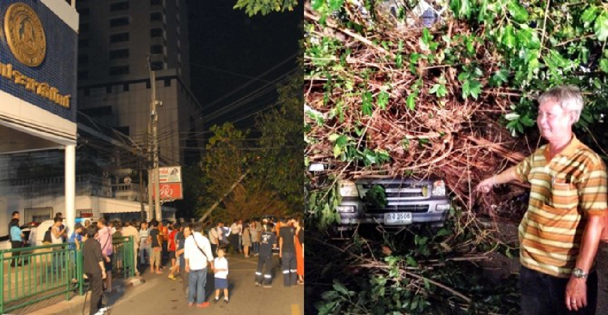 ลางร้าย!ต้นไม้หน้าปชป.ล้มทับรถ