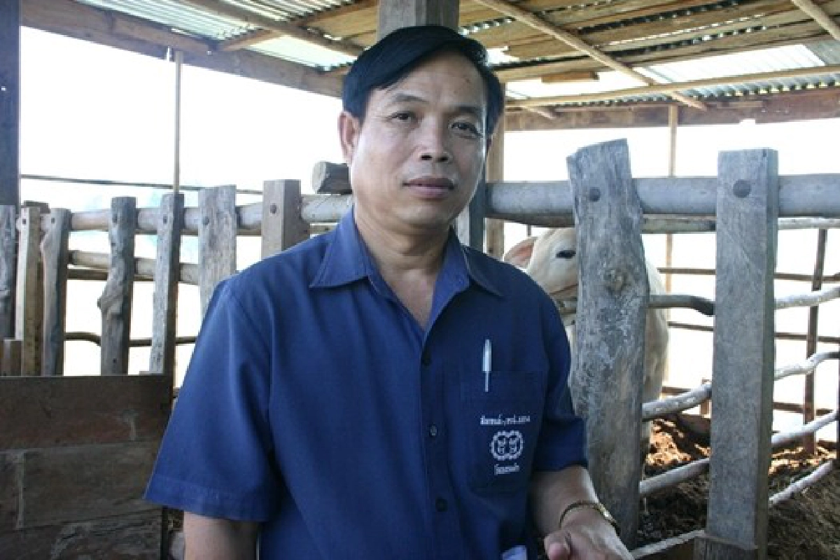 พัฒนาเนื้อโคขุน'โพนยางคำ'สู่สากล พัฒนาเนื้อโคขุน'โพนยางคำ'สู่สากล