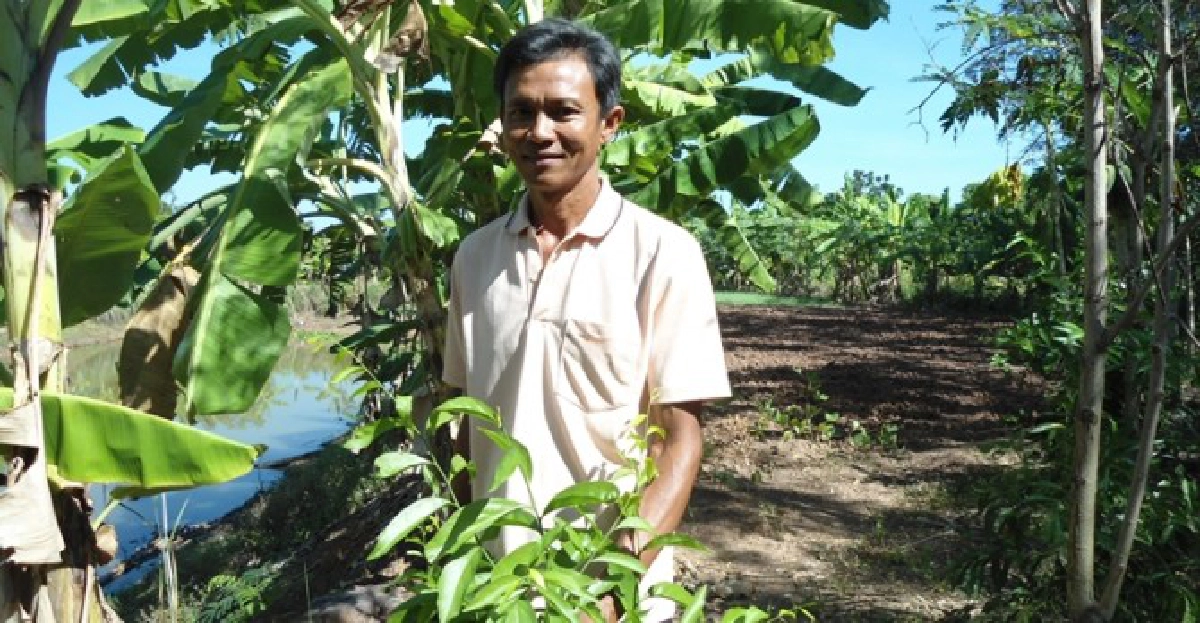 แหกกฎธรรมชาติปลูกผักหวานป่า