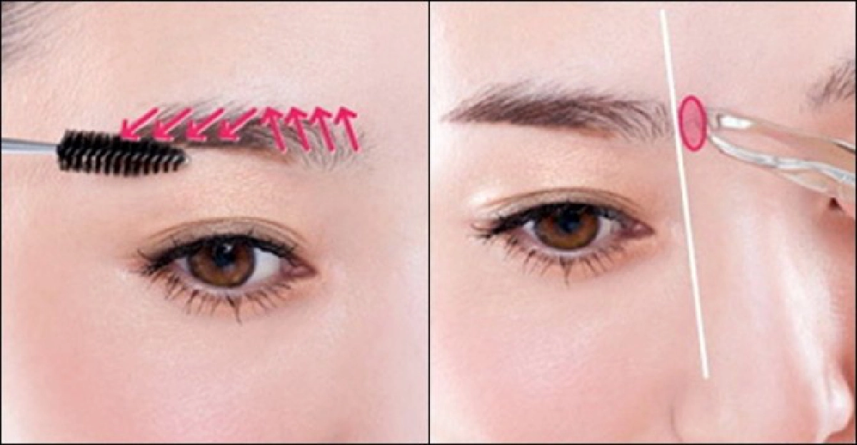 'คิ้วสวย' ส่งใบหน้าเด่น 'คิ้วสวย' ส่งใบหน้าเด่น