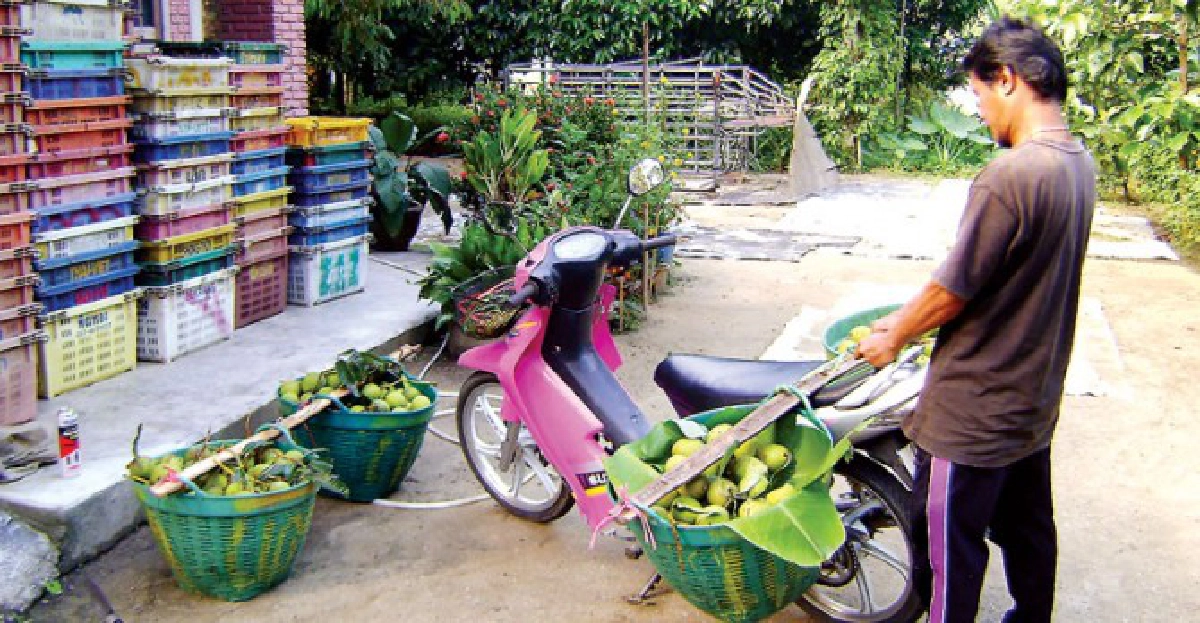 หมู่บ้านกลางขุนเขาคีรีวง 