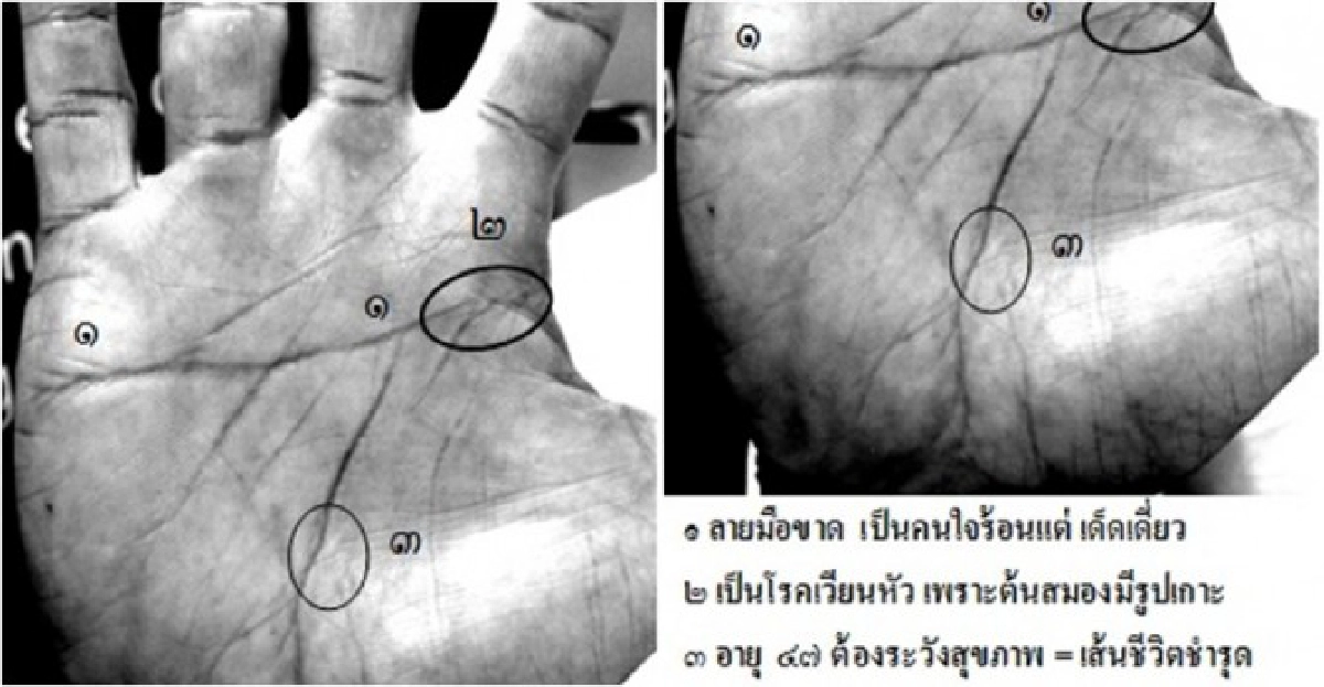 'ชาคริต ดิเรกวัฒนชัย'นักบุญของโลตัส