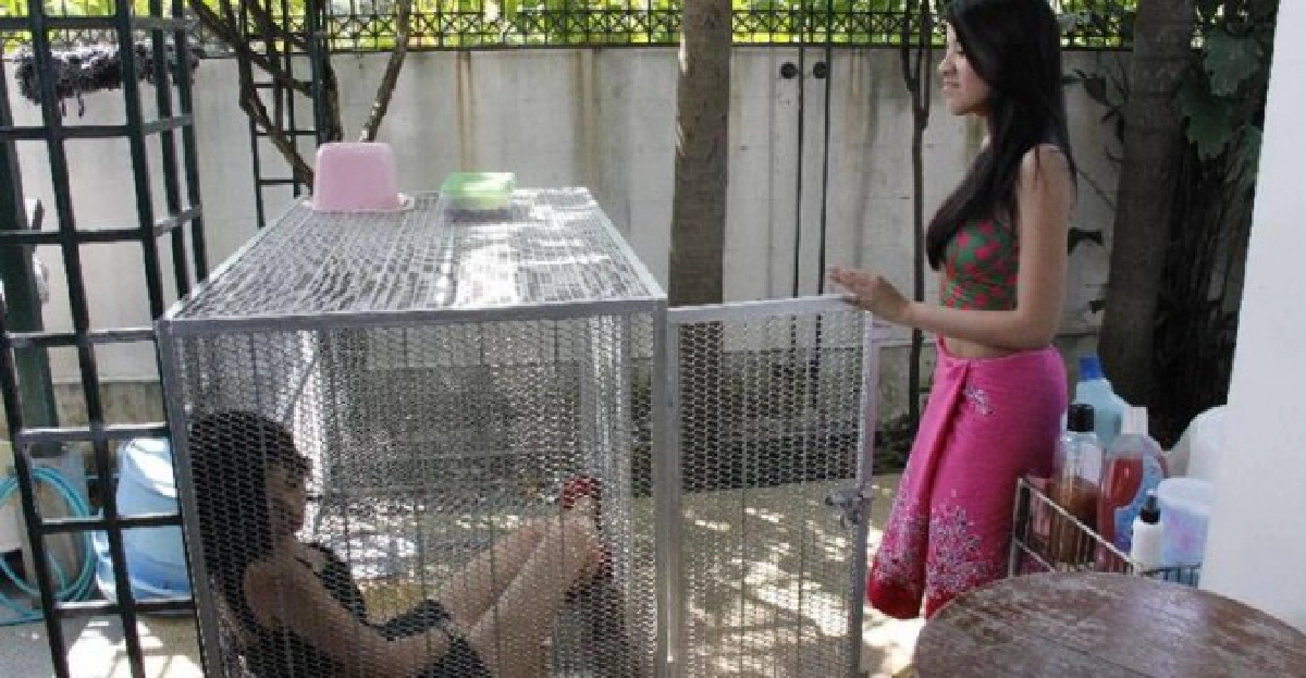 'ใบเตย'โดน'มด'ตบจับยัดกรงหมา 'ใบเตย'โดน'มด'ตบจับยัดกรงหมา