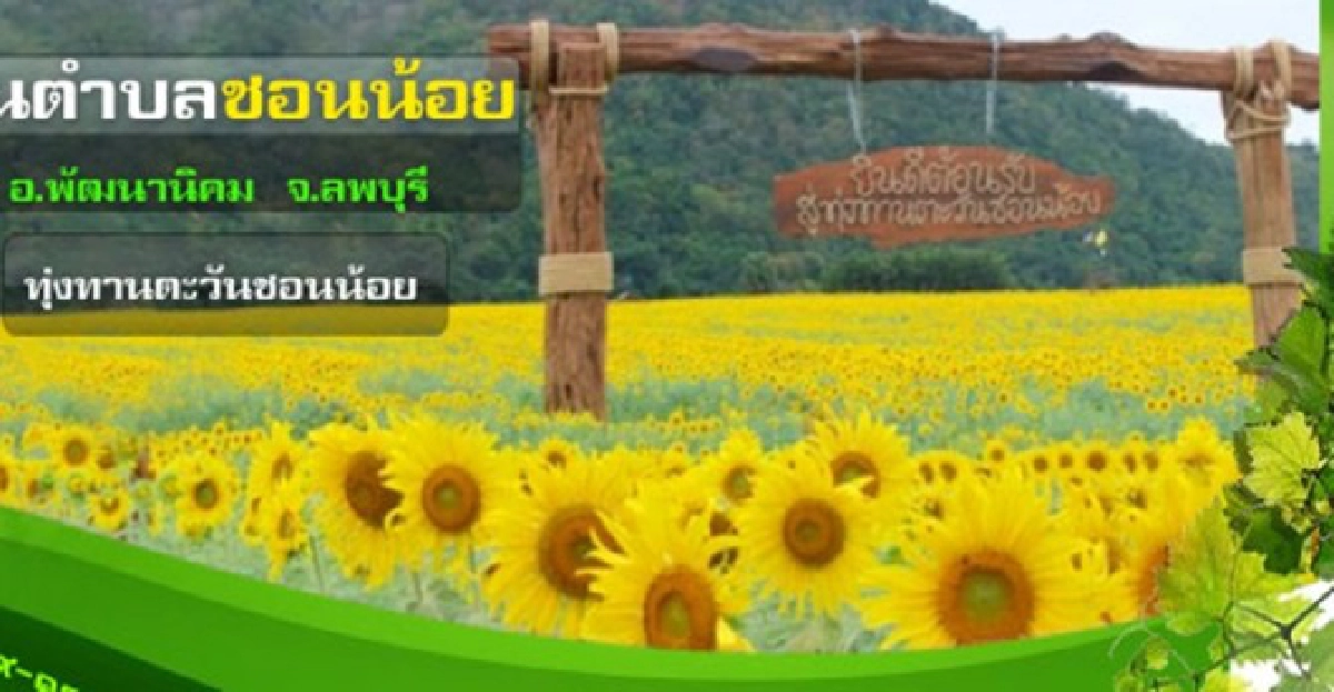 ตร.เรียกเหยื่อประกันเงินกู้ให้ข้อมูล