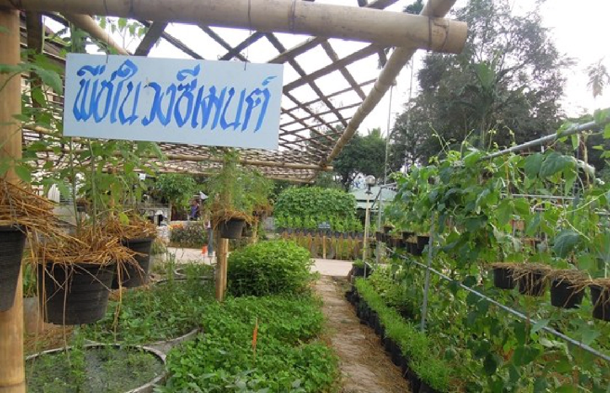 'พัฒนรักษ์'ฟื้นชีวิตคนชายขอบ