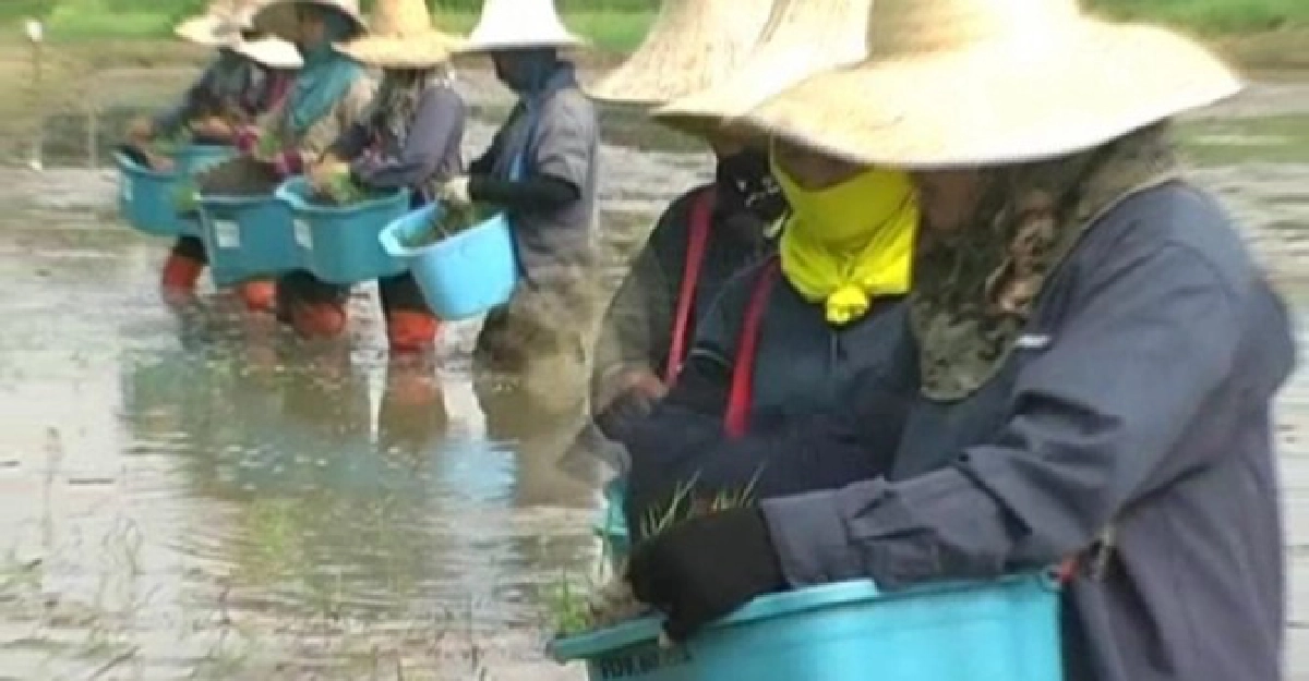'บ.ประกัน'ยันจ่ายเยียวยาชาวลพบุรี 'บ.ประกัน'ยันจ่ายเยียวยาชาวลพบุรี