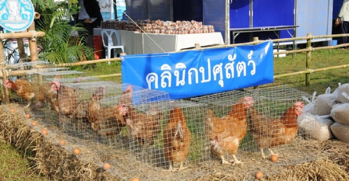 คลินิกเกษตรเคลื่อนที่ช่วยเกษตรกร คลินิกเกษตรเคลื่อนที่ช่วยเกษตรกร