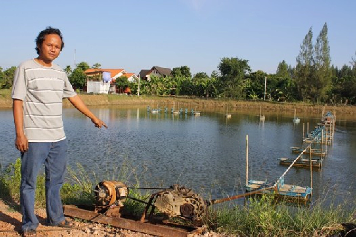 'โรคกุ้งตายด่วน'ระวังซ้ำรอยปี37
