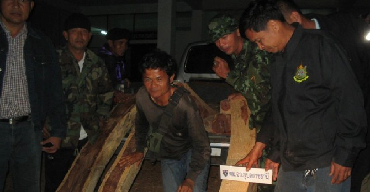 จับมอดไม้พะยูงจ่อข้ามโขง10ท่อน จับมอดไม้พะยูงจ่อข้ามโขง10ท่อน