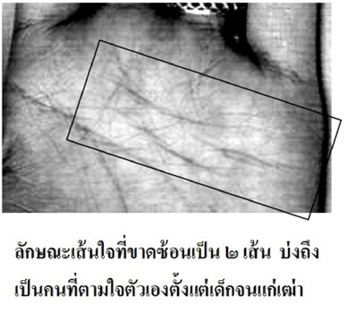 หัตถศาสตร์ : กว่าจะถึงมัธยมก็ไม่ทันแล้ว!?
หัตถศาสตร์ : กว่าจะถึงมัธยมก็ไม่ทันแล้ว!?