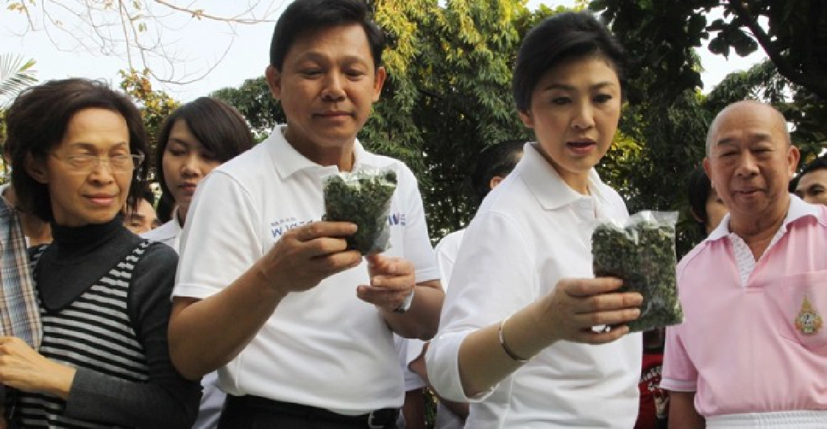 'ปู-เยาวภา'ติวเข้มช่วย'พงศพัศ'หาเสียง 'ปู-เยาวภา'ติวเข้มช่วย'พงศพัศ'หาเสียง