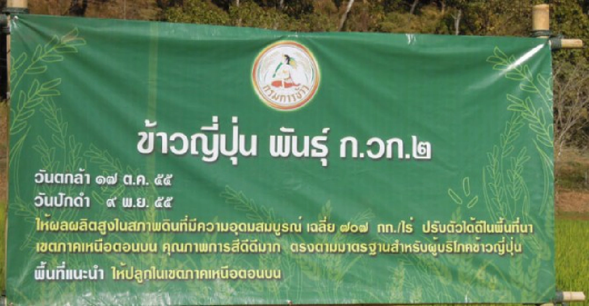 ท่องศูนย์วิจัยข้าวแม่ฮ่องสอน ท่องศูนย์วิจัยข้าวแม่ฮ่องสอน