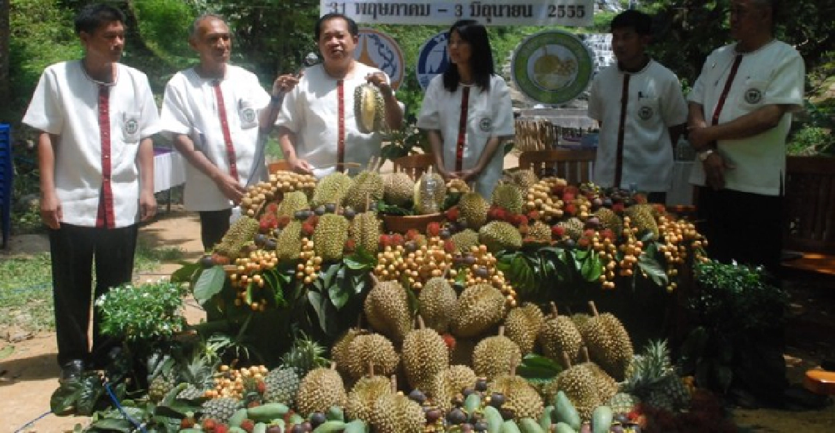 ส่งออกทุเรียนป่วนอินโดฯห้ามนำเข้า ส่งออกทุเรียนป่วนอินโดฯห้ามนำเข้า