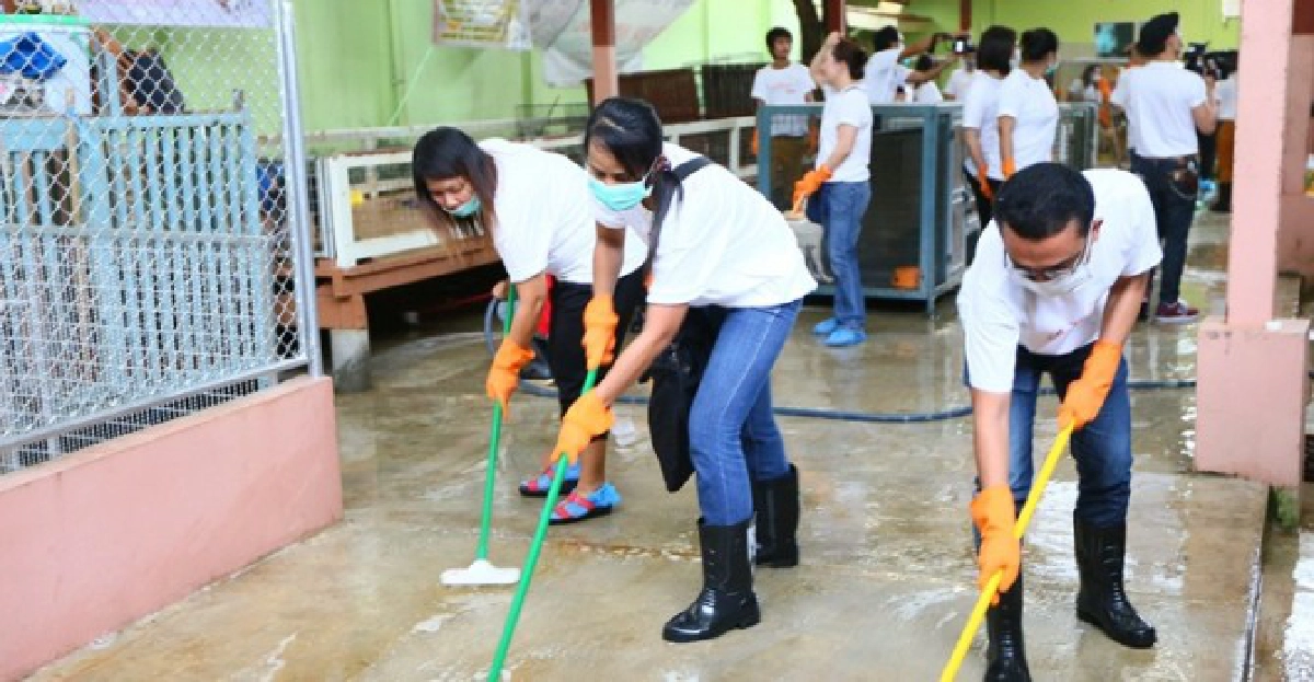 จิตอาสาชวน 'เพื่อนสี่ขา' มีสุข จิตอาสาชวน 'เพื่อนสี่ขา' มีสุข