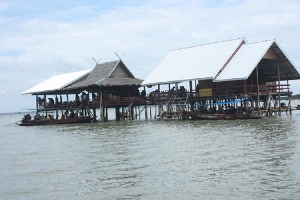 ฟื้นฟูระบบนิเวศ'โฮมกระเตงชาวเล'