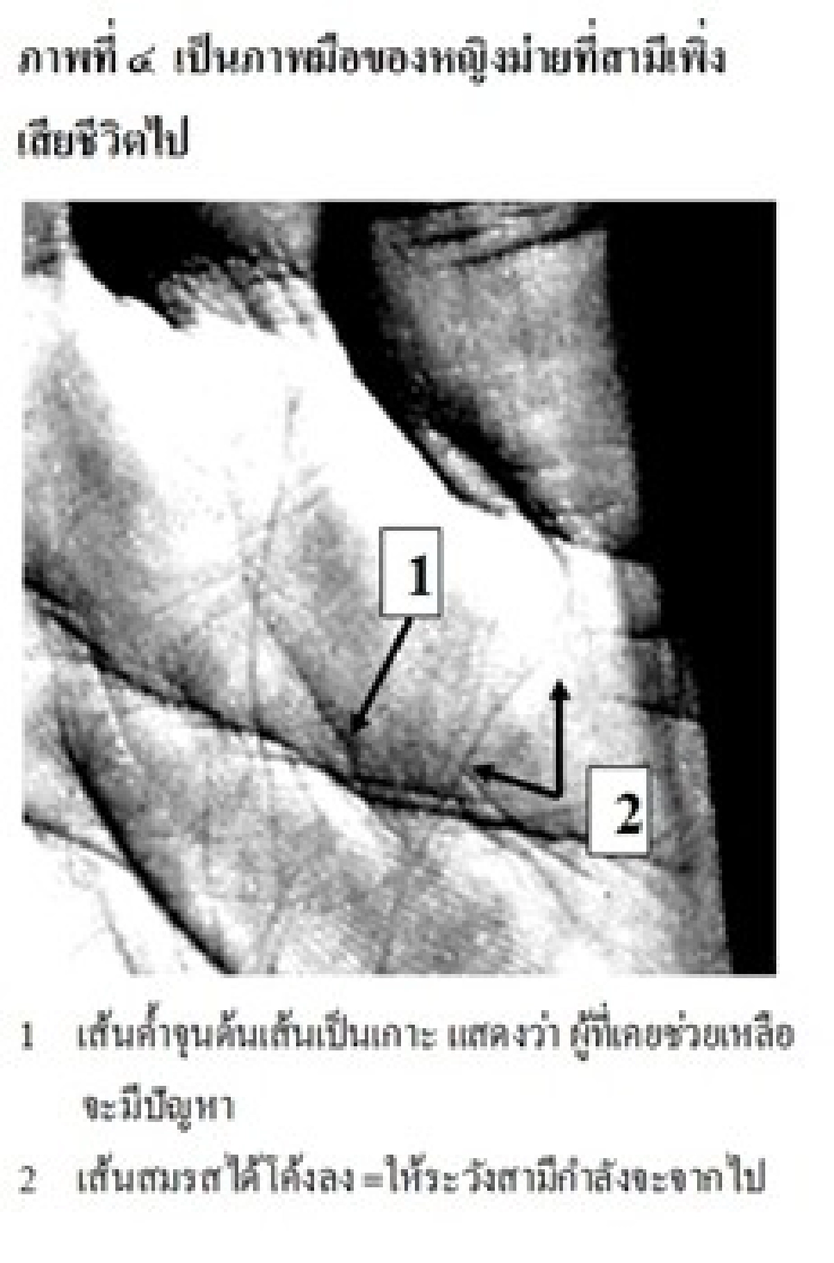 หัตถศาสตร์:ลายมือกับปีชง
หัตถศาสตร์:ลายมือกับปีชง