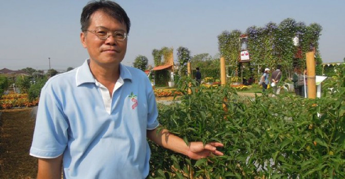 'เพชรมงกุฎ'พริกลูกผสมพันธุ์ใหม่ 'เพชรมงกุฎ'พริกลูกผสมพันธุ์ใหม่