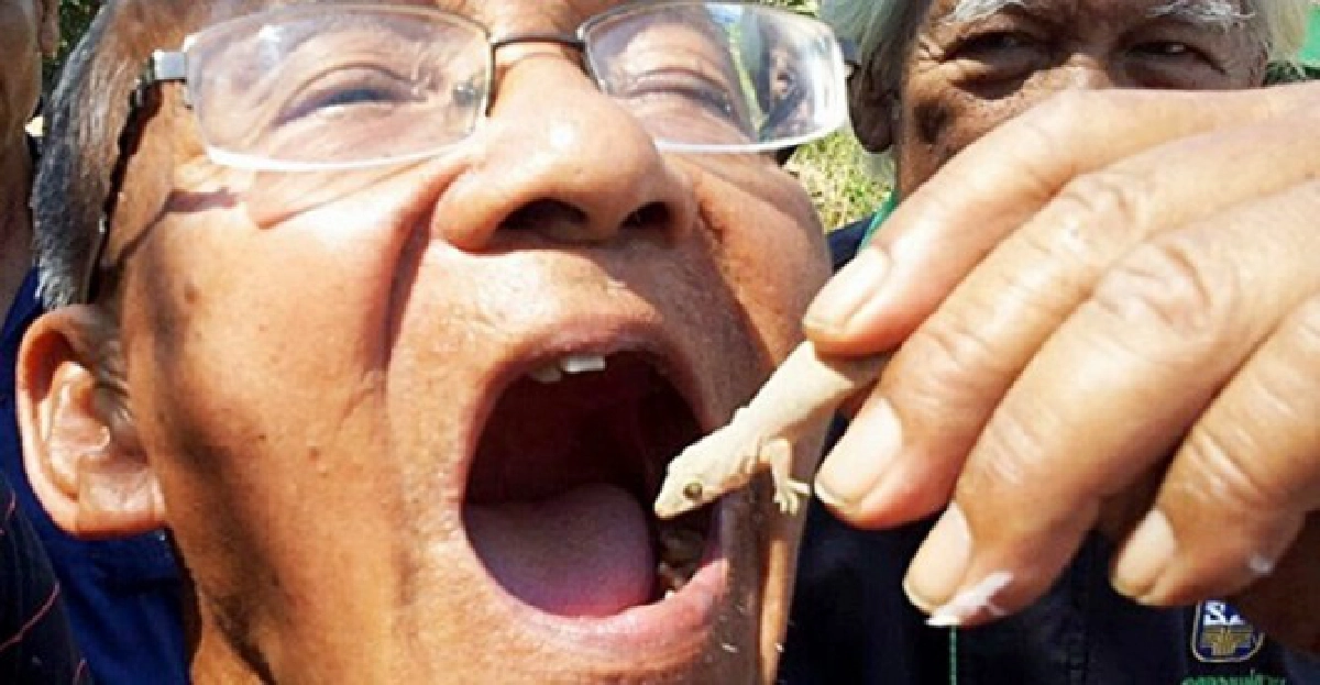 พิสดาร!เปิบจิ้งจกรักษาโรคกว่า10ปี