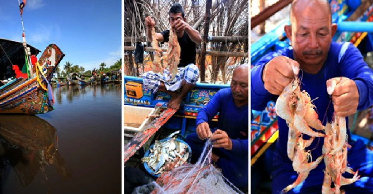 เปิดห้วงวิถีประมงชายฝั่ง เปิดห้วงวิถีประมงชายฝั่ง