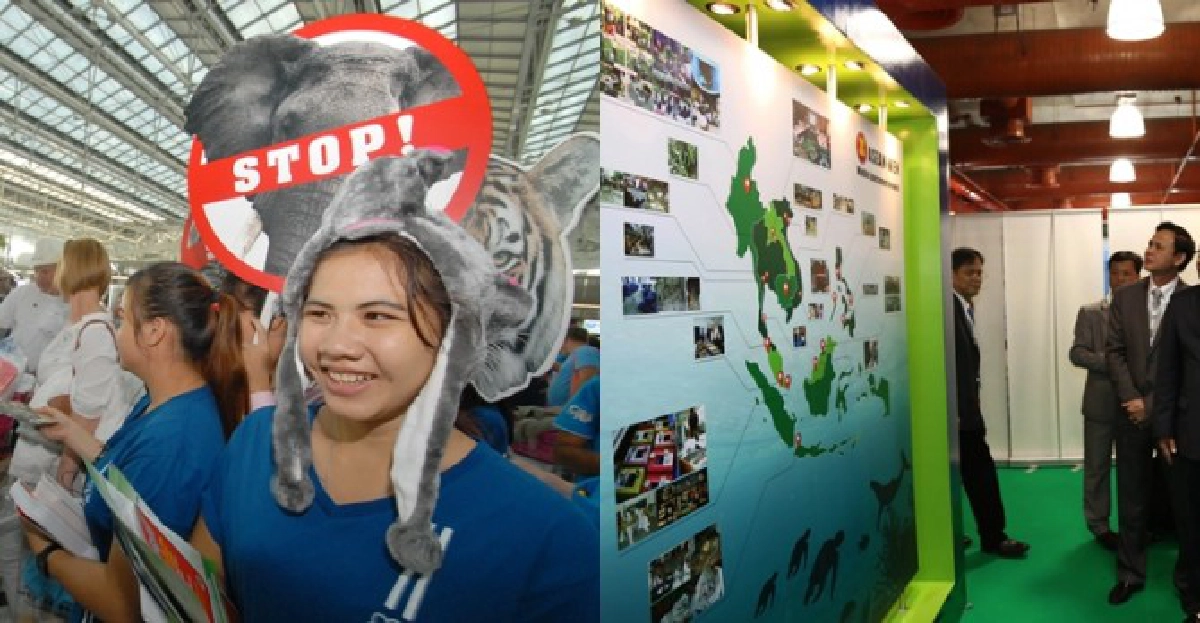 หยุดขบวนการค้าสัตว์ป่า หยุดขบวนการค้าสัตว์ป่า