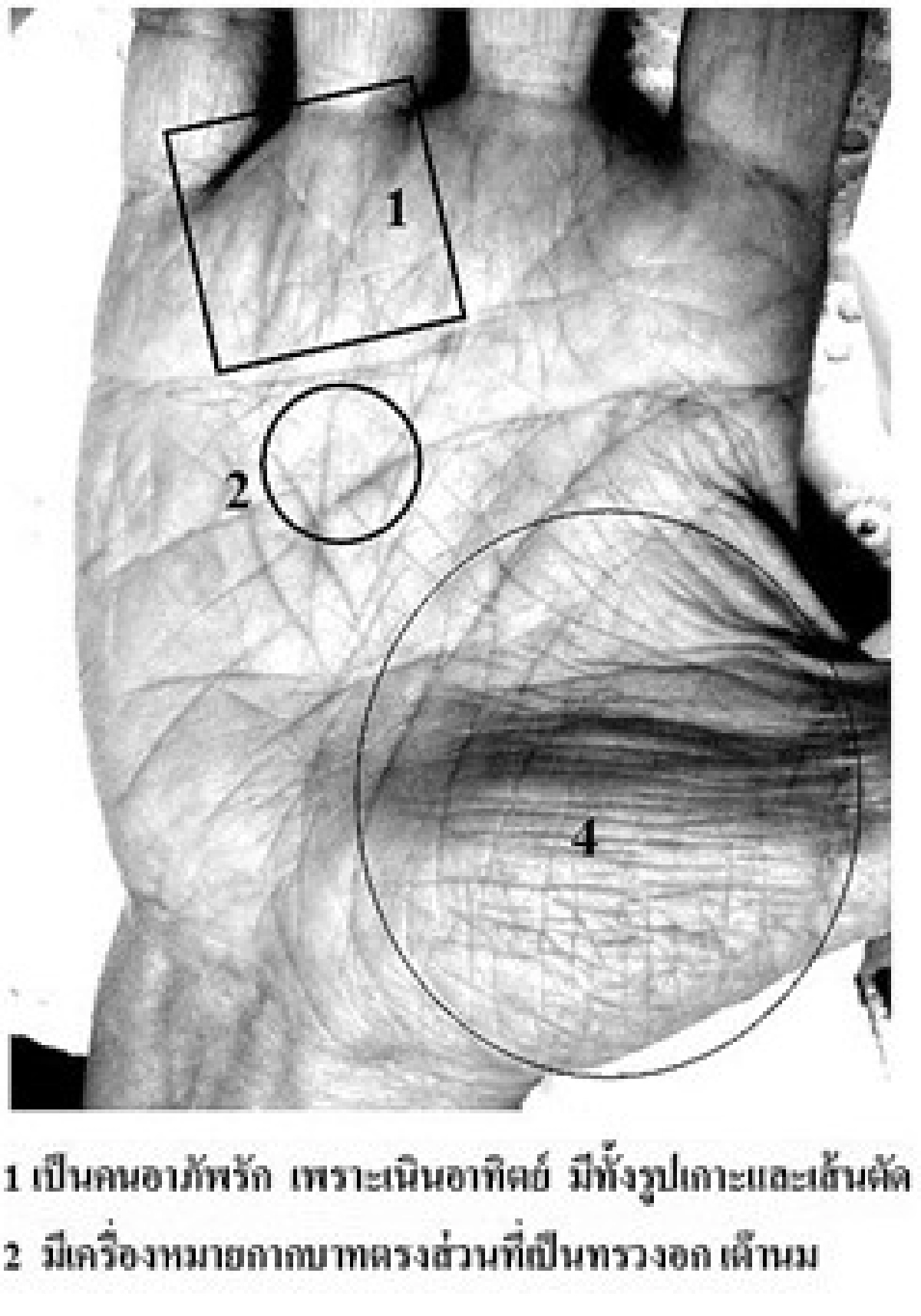 หัตถศาสตร์:นี่หรือชีวิต!?
