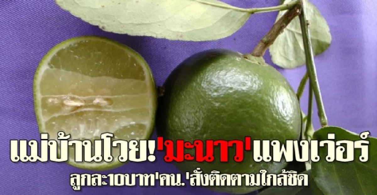 แม่บ้านโวย!มะนาวแพงเว่อร์ลูกละ10บาท แม่บ้านโวย!มะนาวแพงเว่อร์ลูกละ10บาท