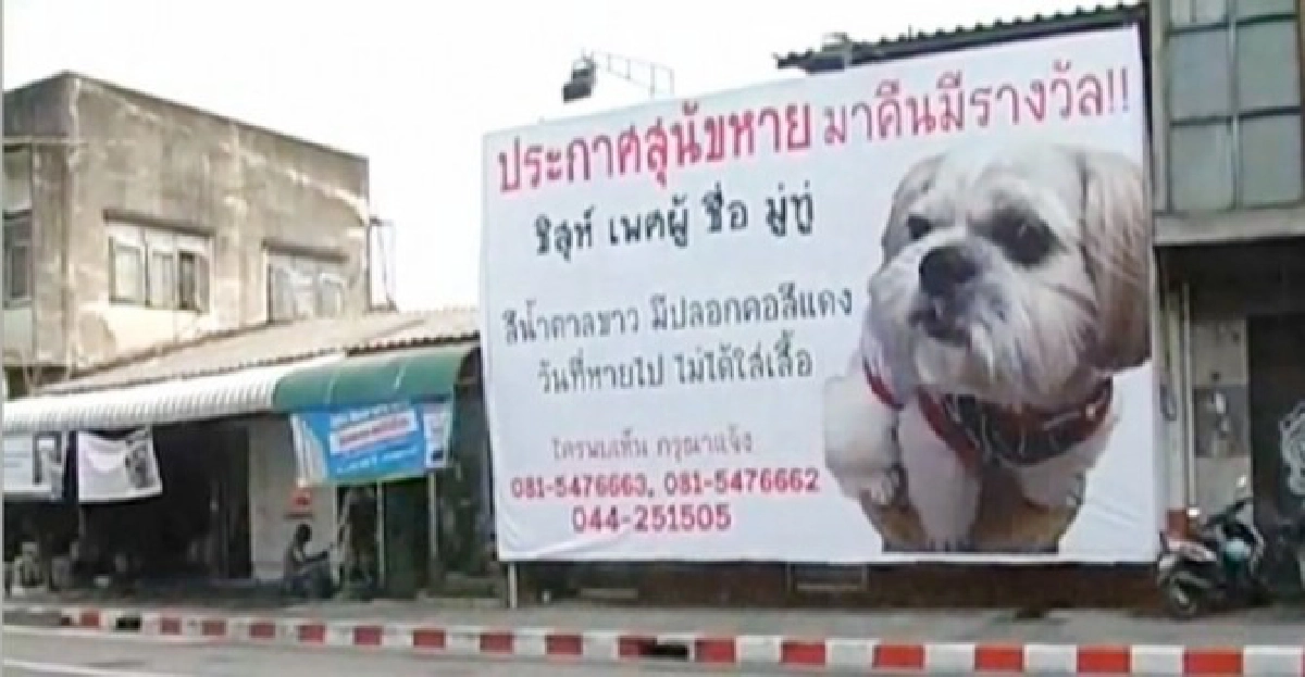 ขึ้นป้ายยักษ์'หาตูบ'-เสี่ยโคราชเศร้า ขึ้นป้ายยักษ์'หาตูบ'-เสี่ยโคราชเศร้า