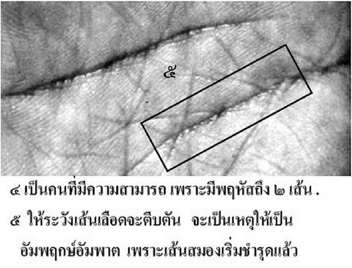 'เสรี สุวรรณภานนท์'ทั้งรวยทั้งเก่ง 'เสรี สุวรรณภานนท์'ทั้งรวยทั้งเก่ง
