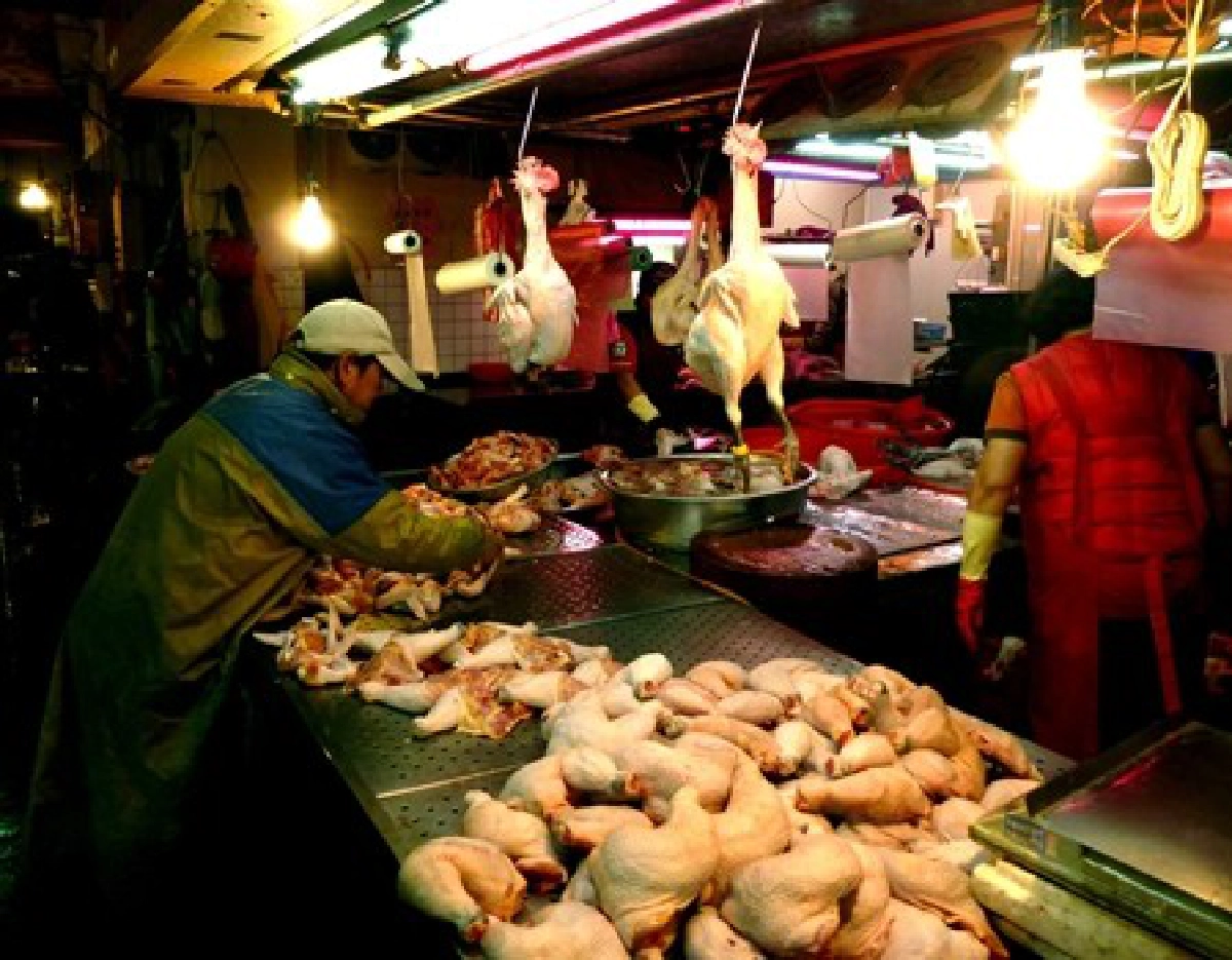 หวัดนกมรณะ'H7N9'แพร่ไปไต้หวันแล้ว หวัดนกมรณะ'H7N9'แพร่ไปไต้หวันแล้ว