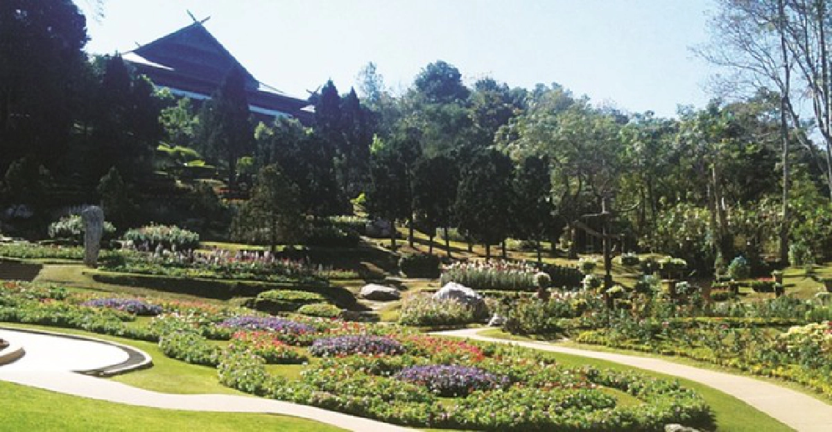 รองเท้านารี : สวนแม่ฟ้าหลวง รองเท้านารี : สวนแม่ฟ้าหลวง