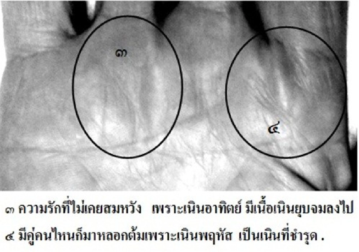 หัตถศาสตร์:ได้คู่คนไหน ก็ถูกหลอกต้ม!!?
หัตถศาสตร์:ได้คู่คนไหน ก็ถูกหลอกต้ม!!?