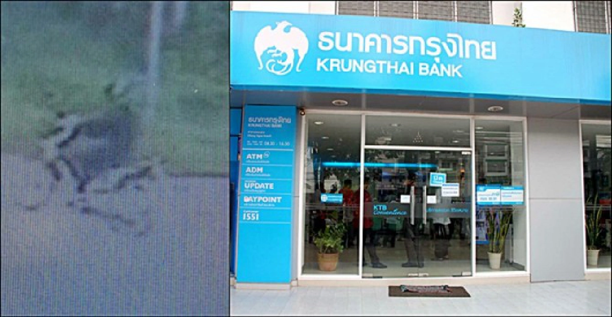โจรบุกจี้แบงก์กวาด1.5แสนบาทหนี โจรบุกจี้แบงก์กวาด1.5แสนบาทหนี