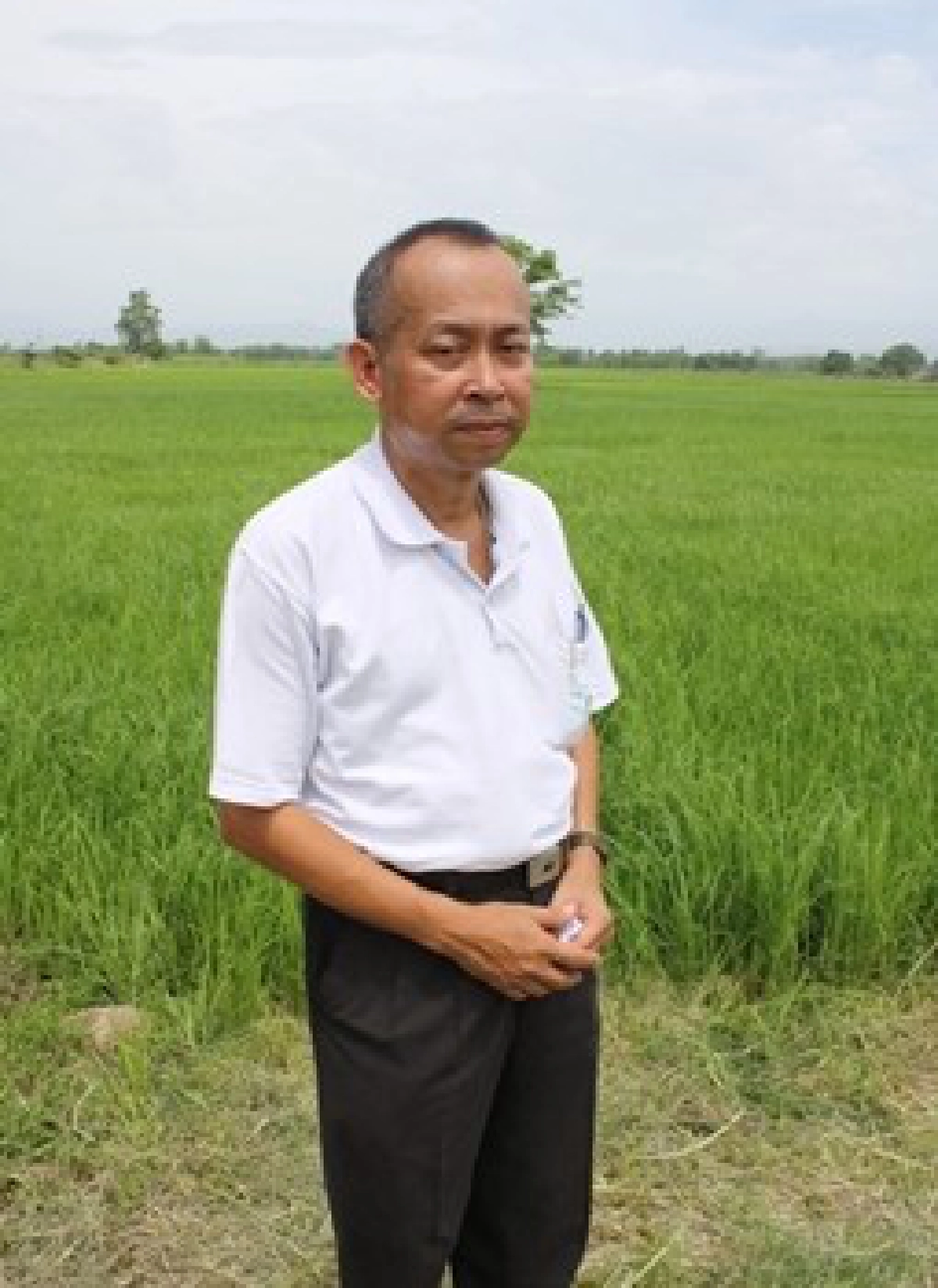 ค้นพบสารนาโนให้มะนาวผลดก