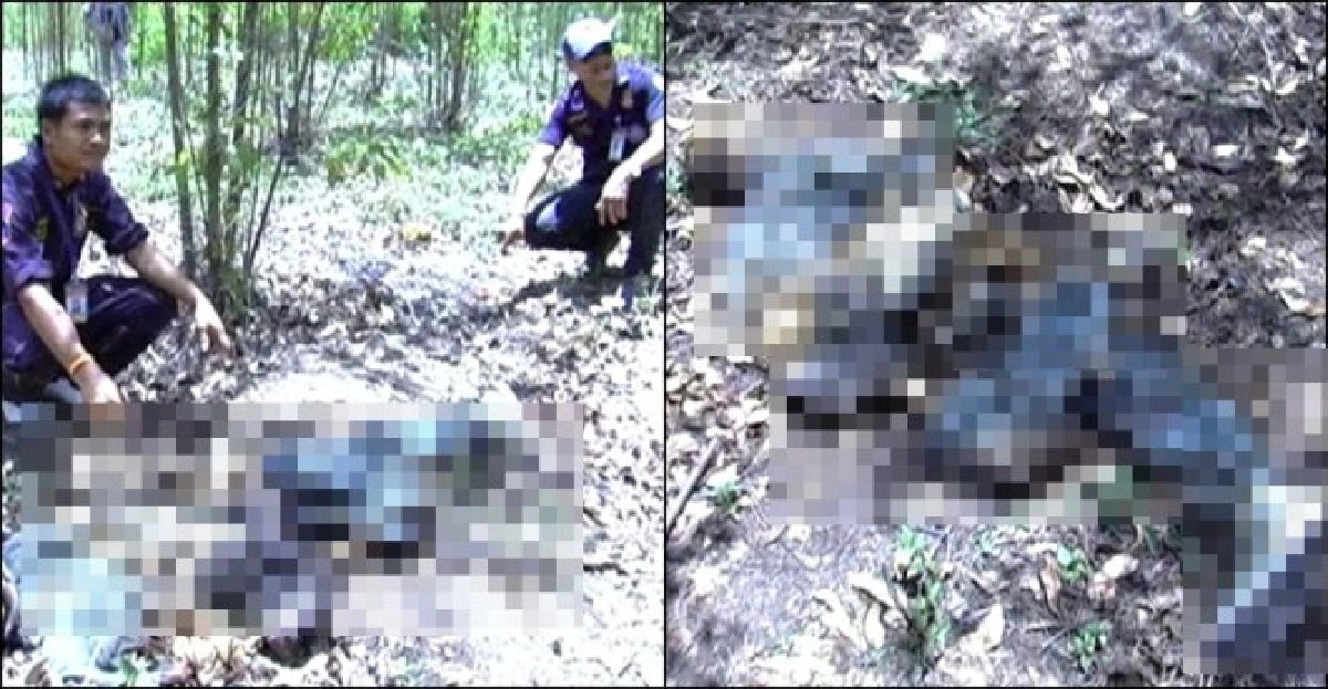 พบศพชายนิรนามถูกยิงทิ้งกลางป่า พบศพชายนิรนามถูกยิงทิ้งกลางป่า