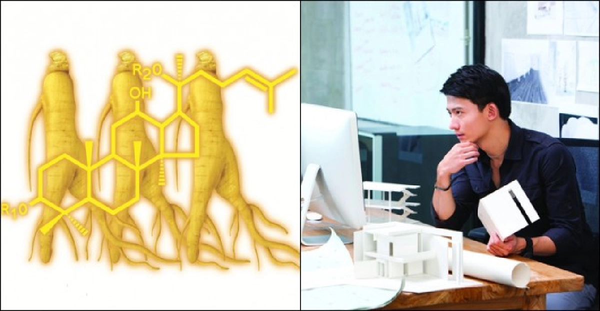 ทานโสม พักผ่อนสมอง