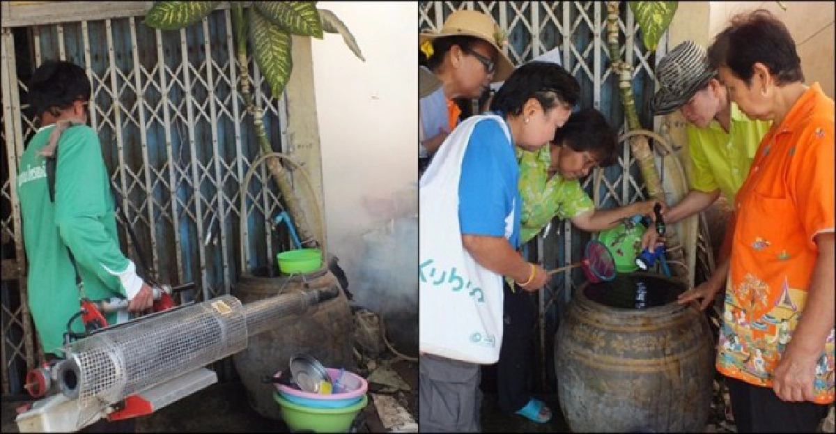 เตือน!'ไข้เลือดออก-ชิคุนกุนยา'ระบาดภาคใต้ เตือน!'ไข้เลือดออก-ชิคุนกุนยา'ระบาดภาคใต้