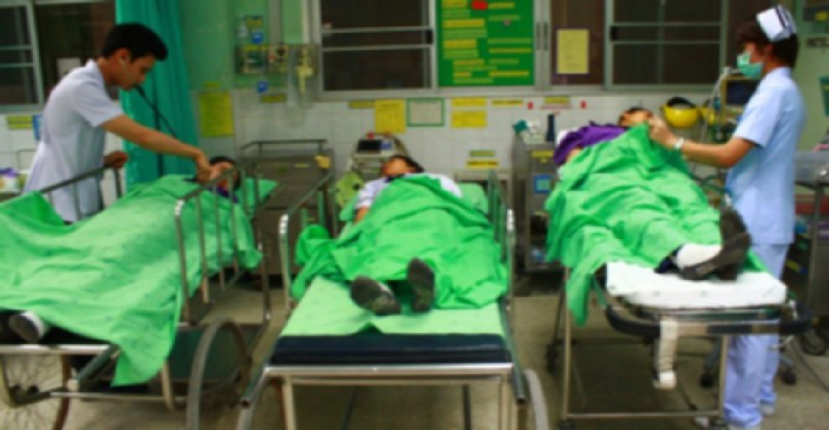 ซน!ปาหินใส่รังผึ้งถูกรุมต่อยเจ็บอื้อ! ซน!ปาหินใส่รังผึ้งถูกรุมต่อยเจ็บอื้อ!