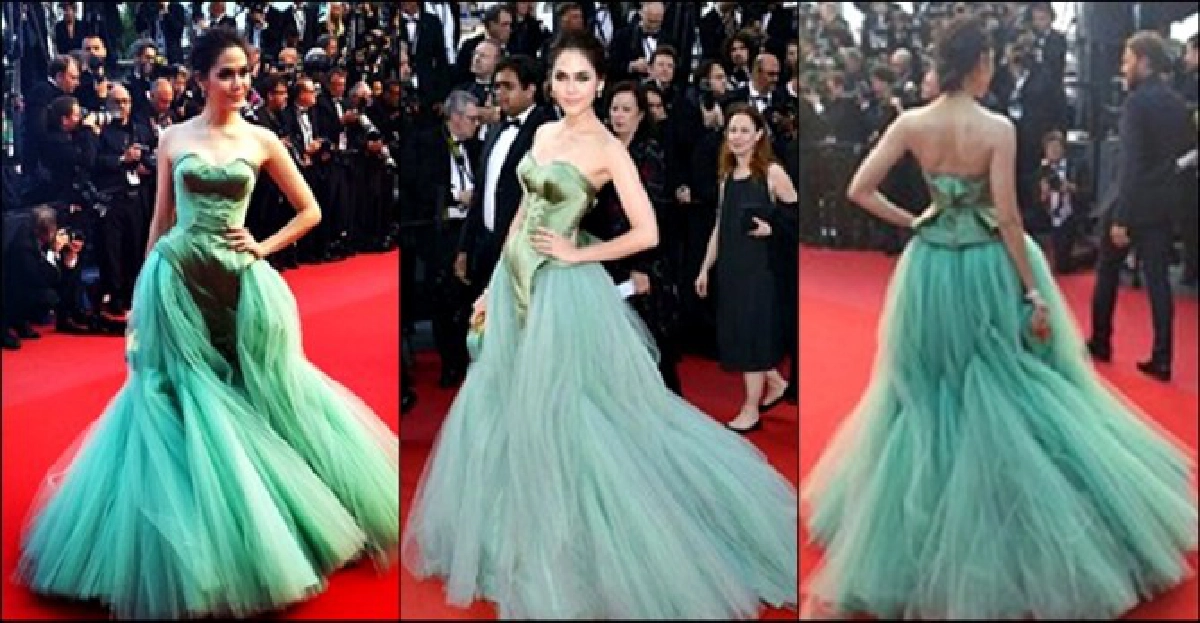 เทใจยก!'ชมพู่'สวยหรูบนพรมแดงที่ฝรั่งเศส เทใจยก!'ชมพู่'สวยหรูบนพรมแดงที่ฝรั่งเศส